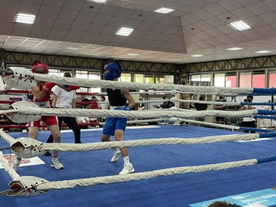 延續奧運熱潮 全國拳擊俱樂部聯賽台中登場