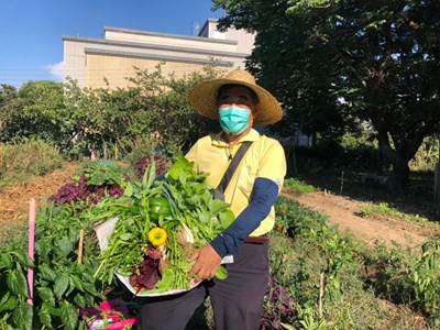 環保農園正式回歸！ 明年第1期限額30名熱烈報名中