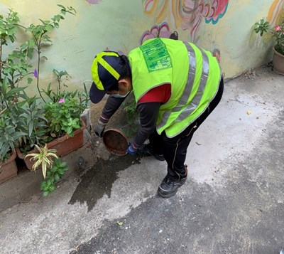 防疫不忘防蚊 中市環保局提醒「巡、倒、清、刷」 以降低登革熱發生風險