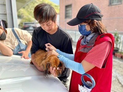 犬貓施打疫苗
